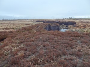 Remnant ribbon of raised bog cutaway from both sides